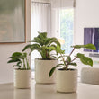 Load image into Gallery viewer, SPRING PLANTER WHITE [SZ:1/3]
