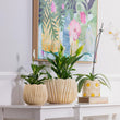 Load image into Gallery viewer, PLANTER TULIP SAND [SZ:25X22CM]
