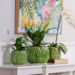 Load image into Gallery viewer, PLANTER TULIP GREEN 16X16CM [CLR:GREEN]
