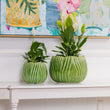 Load image into Gallery viewer, PLANTER TULIP GREEN 16X16CM [CLR:GREEN]
