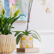 Load image into Gallery viewer, PLANTER DAISY WHITE 15X16.5 [CLR:WHITE]
