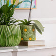 Load image into Gallery viewer, PLANTER DAISY GREEN 15X16.5CM [CLR:GREEN]
