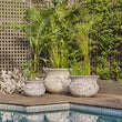 Load image into Gallery viewer, TRITON BELLY POT ATLANTIC WHITE 1/3 51X35CM
