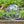 Load image into Gallery viewer, GARDEN CLOCHE 3PACK
