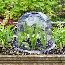 GARDEN CLOCHE 3PACK