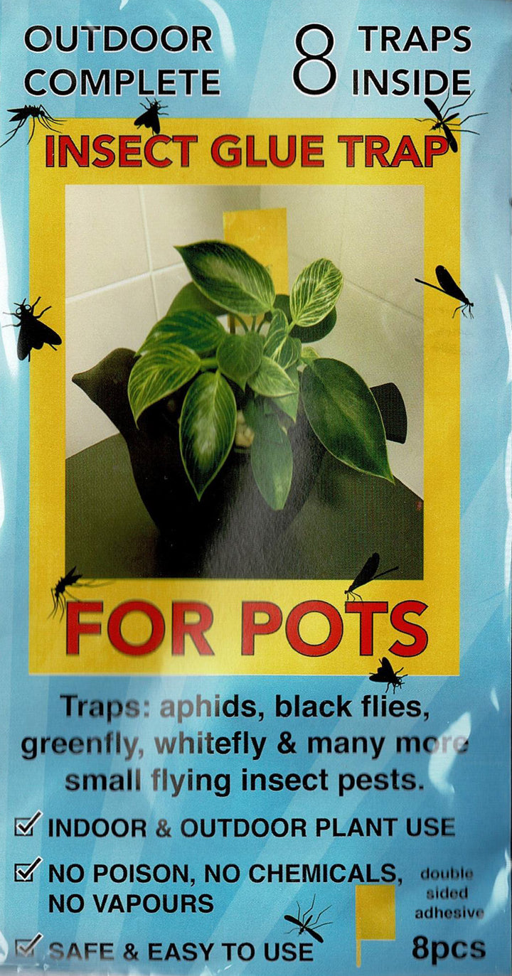INSECT GLUE TRAP FOR POTS - 8 PACK