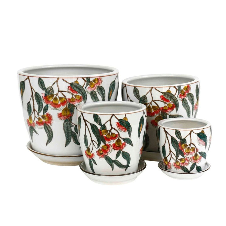 PLANTER SILVER PRINCESS W/S [SZ:1/4 (12.5 X 11.5CM)]