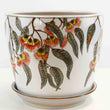 Load image into Gallery viewer, PLANTER SILVER PRINCESS W/S [SZ:1/4 (12.5 X 11.5CM)]
