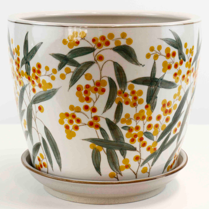 PLANTER WATTLE W/S [SZ:1/4 (12.5 X 12CM)]