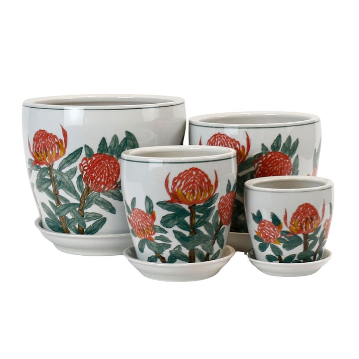 PLANTER WARRATAH W/S [SZ:1/4 (12.5 X 11.5CM)]