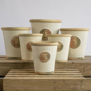 KEW LONG POT IVORY