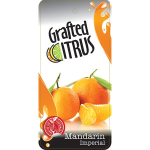 CITRUS MANDARIN IMPERIAL 12L