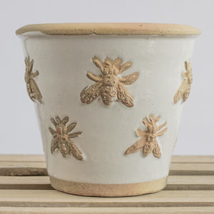 KEW CACHE POT BEE PRINT