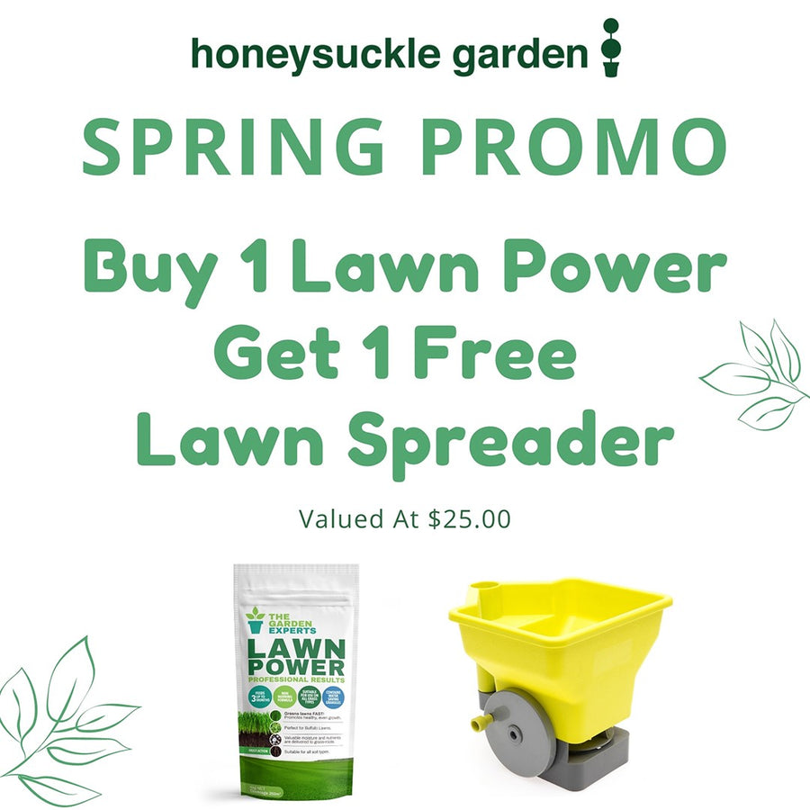 LAWN POWER 4KG + SPREADER PROMO PACK
