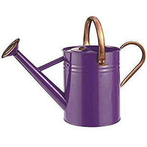 WATERING CAN PLUM 4.5L