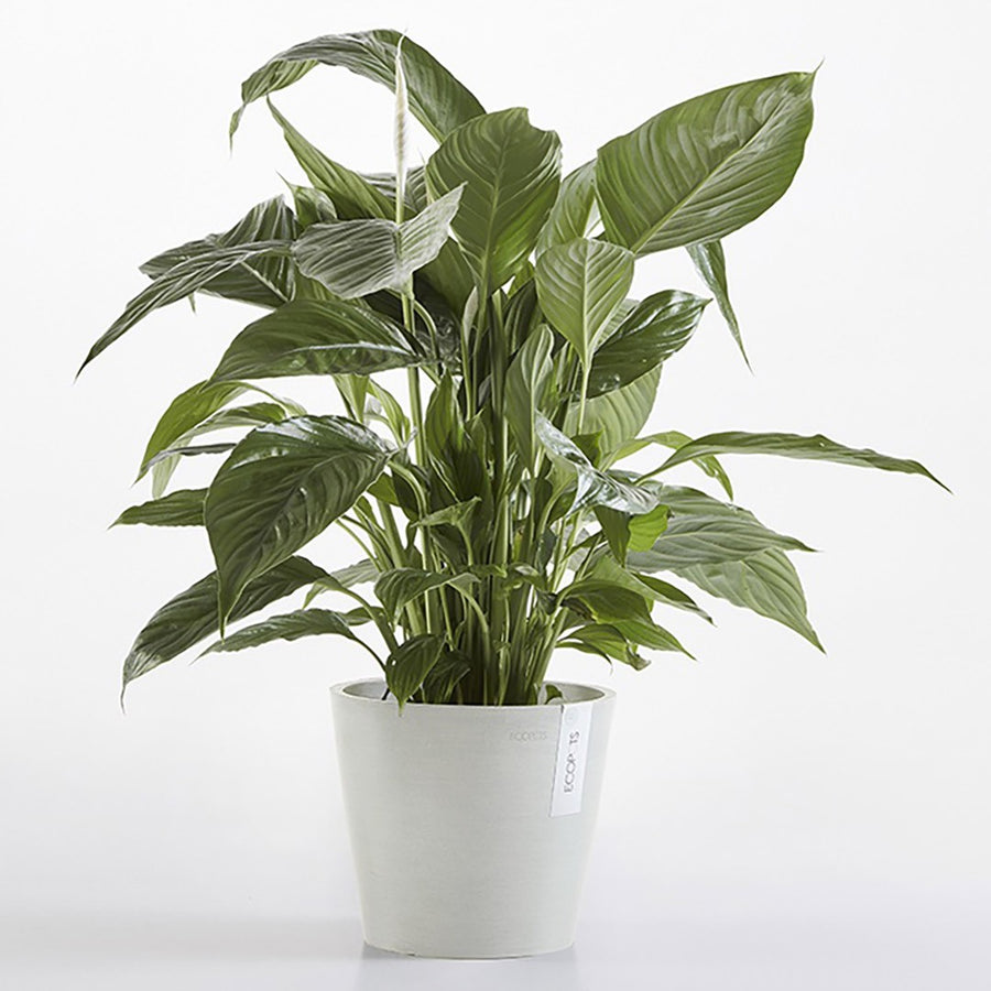 PLANTER AMSTERDAM WHITE GREY 20CM