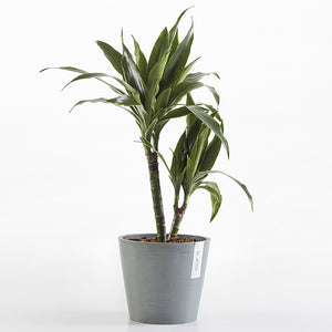 PLANTER AMSTERDAM BLUE GREY