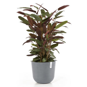 PLANTER OSLO BLUE GREY