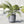 Load image into Gallery viewer, PLANTER OSLO BLUE GREY
