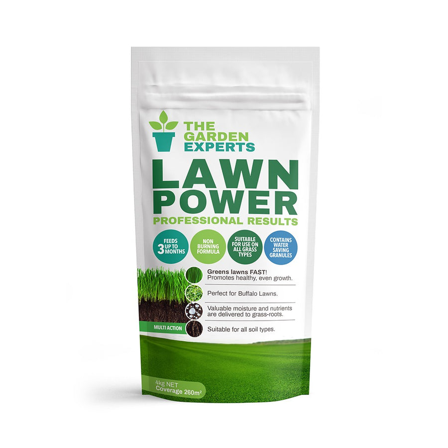 LAWN POWER LAWN FOOD 4KG