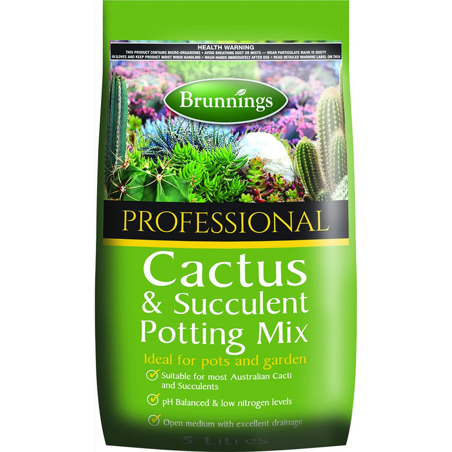 australian cacti and succulents CACTUS & SUCCULENT MIX 5L – Honeysuckle Garden