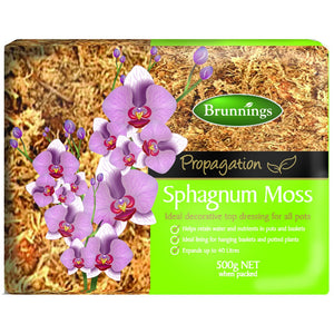 SPHAGNUM MOSS