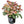 Load image into Gallery viewer, HELLEBORUS ANGEL GLOW 18CM
