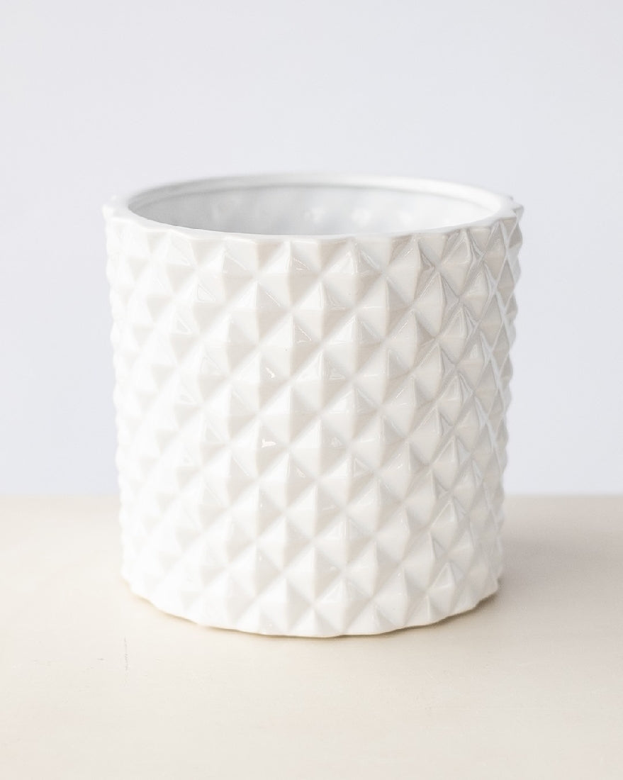 white pineapple planter PLANTER PINEAPPLE WHITE – Honeysuckle Garden
