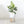 Load image into Gallery viewer, KEYSTONE MERCURY TRIPOD WHITE
