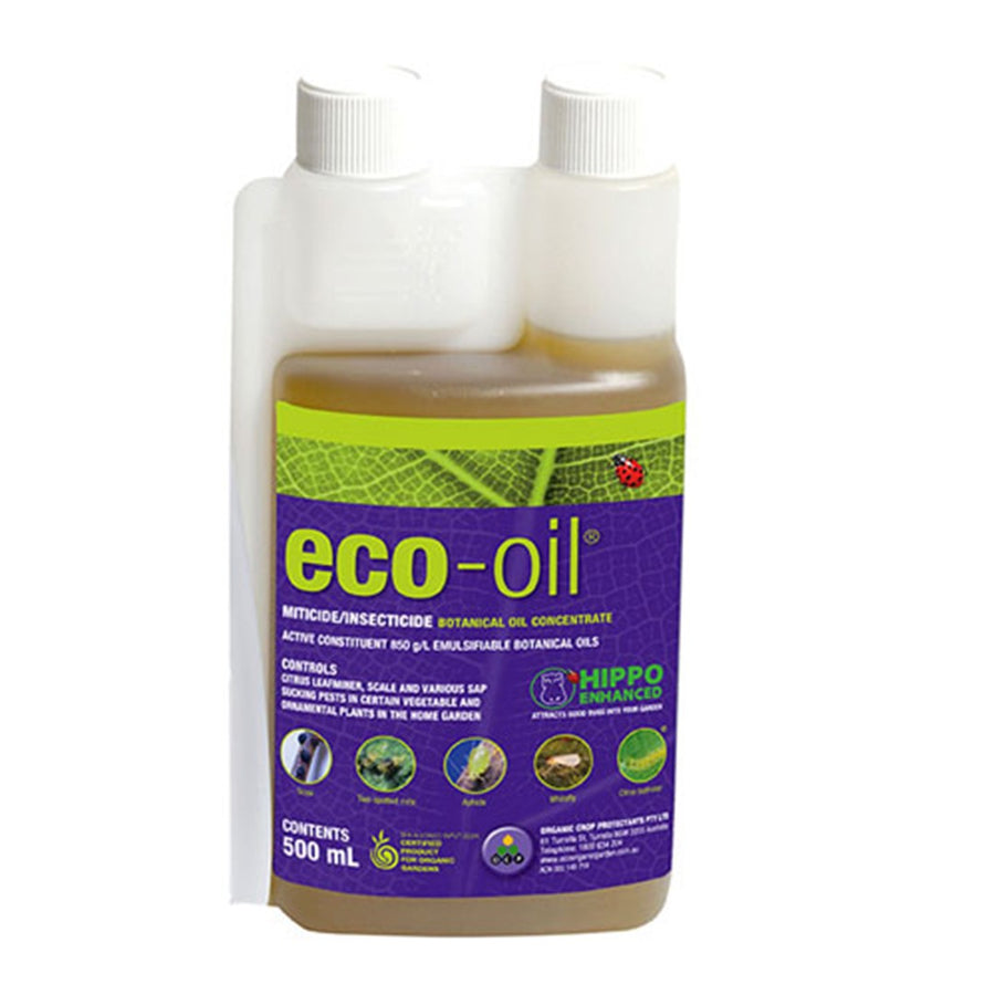 ECO OIL CONCENTRATE