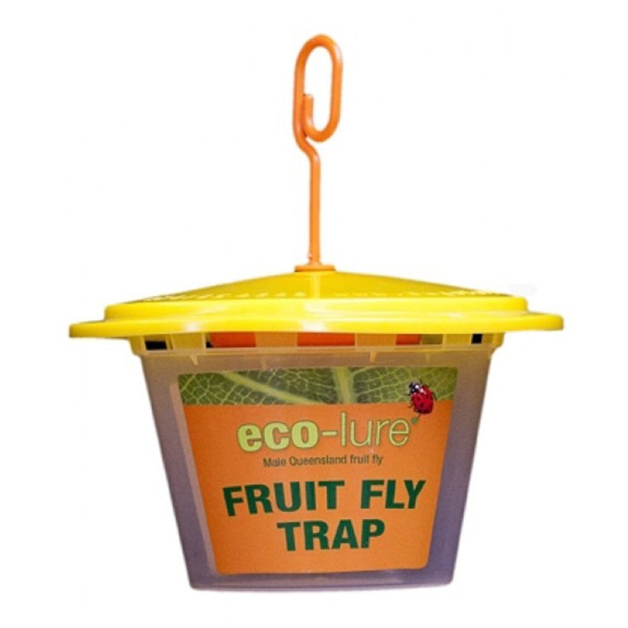 ECO LURE MALE FRUIT FLY TRAP