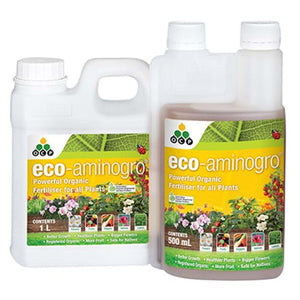 ECO AMINOGRO CONCENTRATE