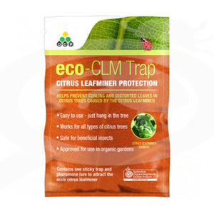 ECO LEAF MINER TRAP