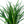 Load image into Gallery viewer, LIRIOPE EVERGREEN GIANT
